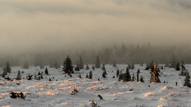 chilling zone above clouds