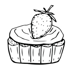 Strawberry cupcake vector illustration, hand drawing sketch