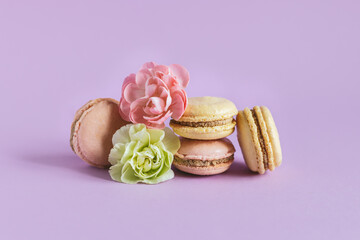 Tasty french macaroons with tender flower on a violet pastel background.