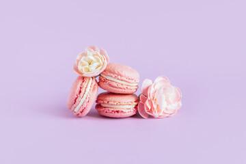 Tasty french macaroons with tender flower on a violet pastel background.