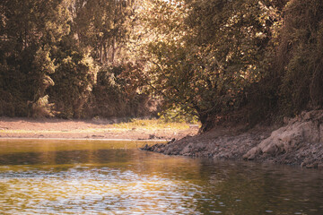 view of sunrise over the lake in Bnachhe Park , Beautiful rainforest landscape with fog in morning, Lebanon