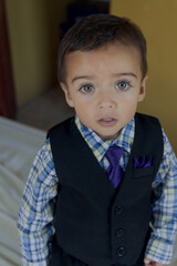 portrait of elegant little boy gesturing