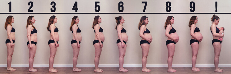 Collage pregnant woman beginning to end, nine months before and after giving birth with a baby in...