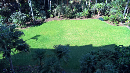 Obraz premium Palme, Hotel, Anlage, Garten, Urlaub, Teneriffa, Wiese