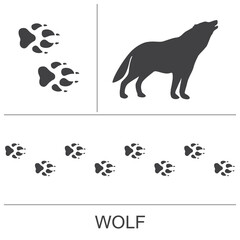Silhouette and footprints of a wolf. Vector illustration on a white background.