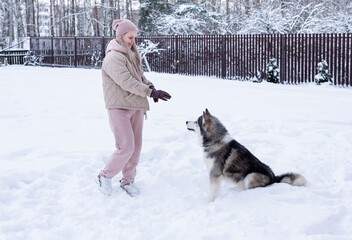 Young woman playing with siberian husky dog in the snow on winter day, training and walking her pet dog. Friendship, lovely dog, best pet, dog for a walk with his owner