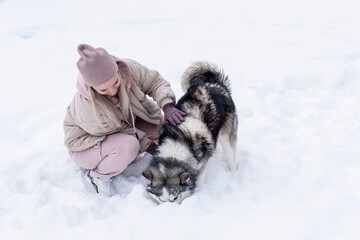 Young woman playing with siberian husky dog in the snow on winter day, training and walking her pet dog. Friendship, lovely dog, best pet, dog for a walk with his owner