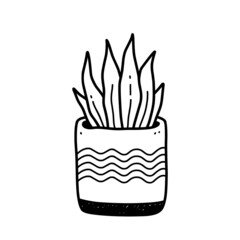 Cute houseplant in flower pot isolated on white background. Vector hand-drawn illustration in doodle style. Perfect for cards, decorations, logo.