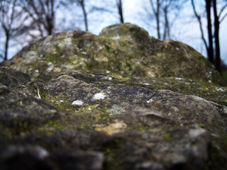 Rock Texture Beautiful Nature Rocks Stone Textured Trees Green Moss On Rocks
