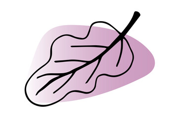 Abstract tropical leaves. Vector design elements.