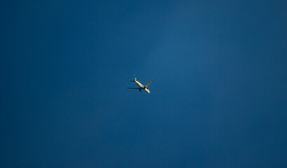 Flight
