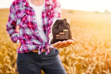 Farmer holding money bag in wheat field, concept of credit or grant money, farmer subsidies and...