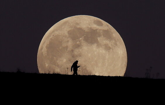 A man walks over Ivinghoe Beacon as the Wolf Moon rises, in Ivinghoe