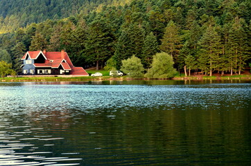 Obraz premium house on the lake
