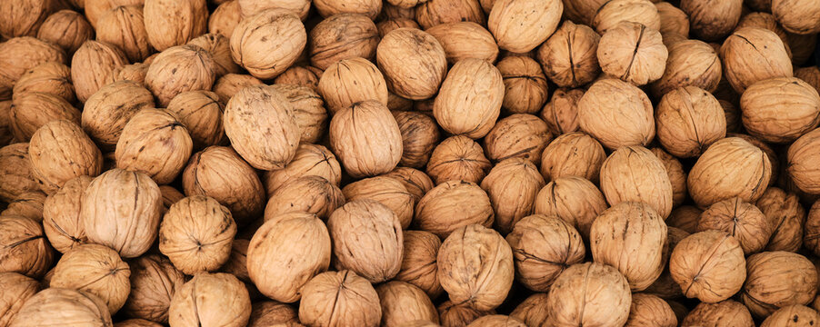 Pile of walnuts in shell