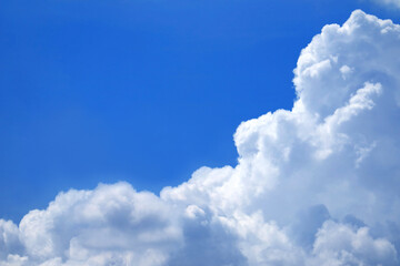 Naklejka na ściany i meble Amazing Pure White Cumulus Clouds on Vibrant Blue Sky