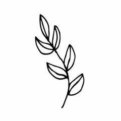 Isolated doodle vector sketch of branch isolated on white background.