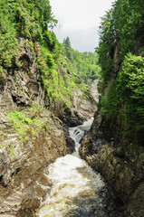 Mountain river in the forest from waterfalls passing between rocks and trees