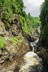 Mountain river in the forest from waterfalls passing between rocks and trees