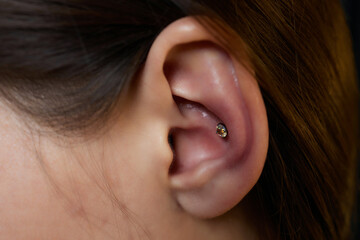piercings on an ear. Conch and helix piercings close up.