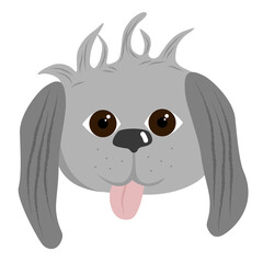 The head of a shaggy gray dog with his tongue hanging out on a white background.