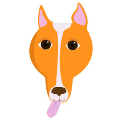 The head of a red dog with his tongue hanging out on a white background.