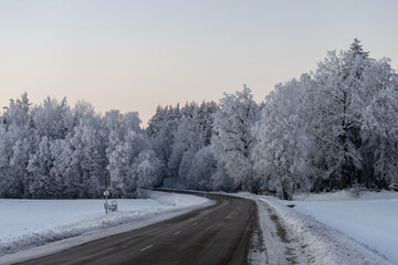 clean asphalt road runs through frost and snow covered forest, Early January morning in Latvia