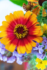 A beautiful colorful aster in a bunch of flowers