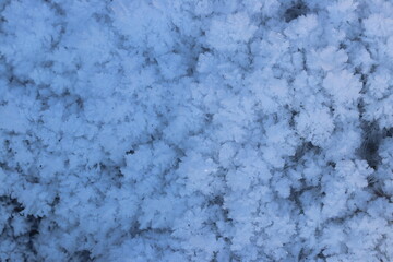Fototapeta premium snow texture