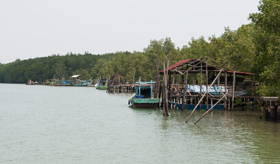 Fototapeta na wymiar Scenes of the surrounding fishing villages in Southeast Asia. Location in Teluk Sedili Kota, Tinggi, Johor, Malaysia