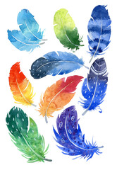 set of colored feathers