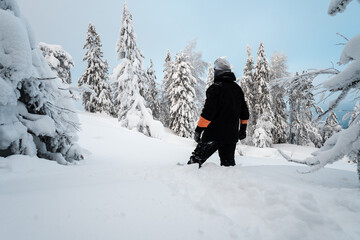 Sports and recreation. A snowboarder on a mountain and trees covered with snow.