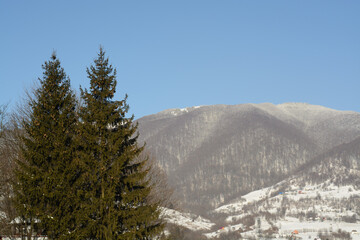 winter landscape in the Carpathian mountains 