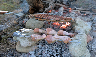 on an open fire from the branches of dry trees in the nature of the wild on the ground, grilled chicken thighs and sausages