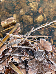 solid layer of ice of a frozen lake 