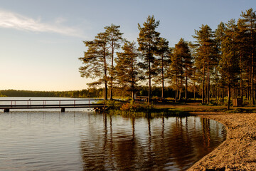 Beach on a forest lake