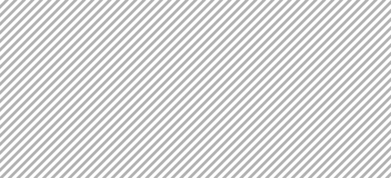 Gray Lines Background. Line Background. Vector Illustration