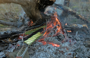 Obraz premium Grilled vegetables zucchini and eggplant are fried on an open fire in the wild right on the ground leaning on the branches of burning trees with the sunset in the background.