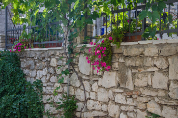 Steinmauer mit Pflanzenwuchs