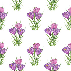 Crocuses purple, lilac with green grass on a white background. Seamless pattern with spring flowers. Watercolor illustration. For textiles, postcards, gift wrapping.