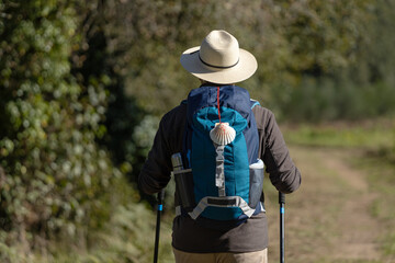 View from behind of a pilgrim walking on his way to Santiago de Compostela on a rural way. Way of...