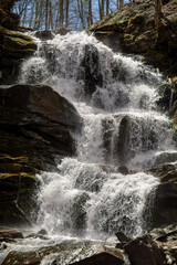 Cascading down a small mountain stream, the water runs over basalt boulders. A small waterfall runs through the moss.