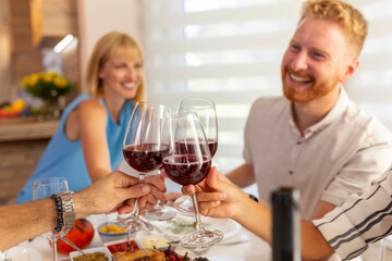 People making a toast while having lunch
