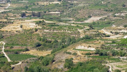 Fototapeta na wymiar Omodos wine region with private wineyards in Cyprus