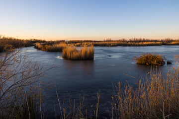 Paysage du petit marais de Candillargues au coucher du soleil (Occitanie, France)