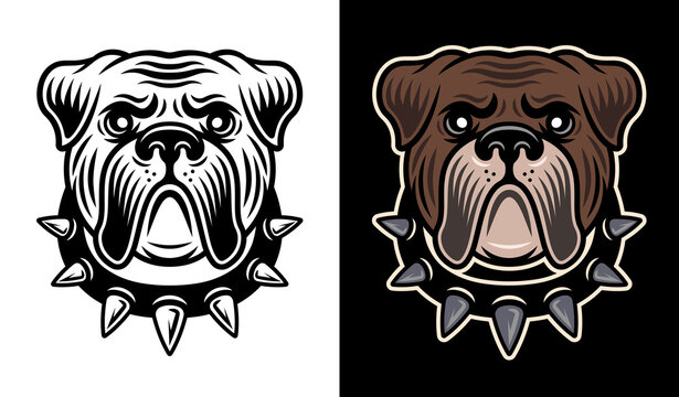 Bulldog Head In Spiked Collar Vector Two Styles Illustration Black On White And Colored On Dark Background