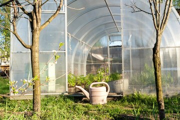 Gardening tools and seedlings on wooden table in greenhouse. Spring in the garden