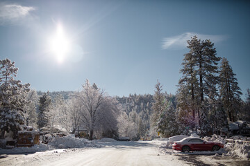 Snow Covered Street & Trees in Idyllwild