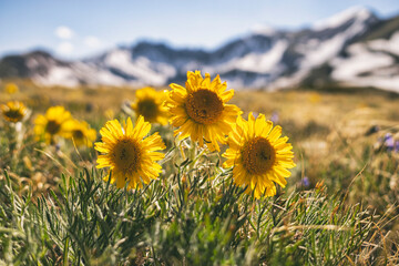 Old man of the mountain, Colorado