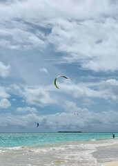 Kitesurfers at Kailua Beach, O'ahu, HI, US, - obrazy, fototapety, plakaty